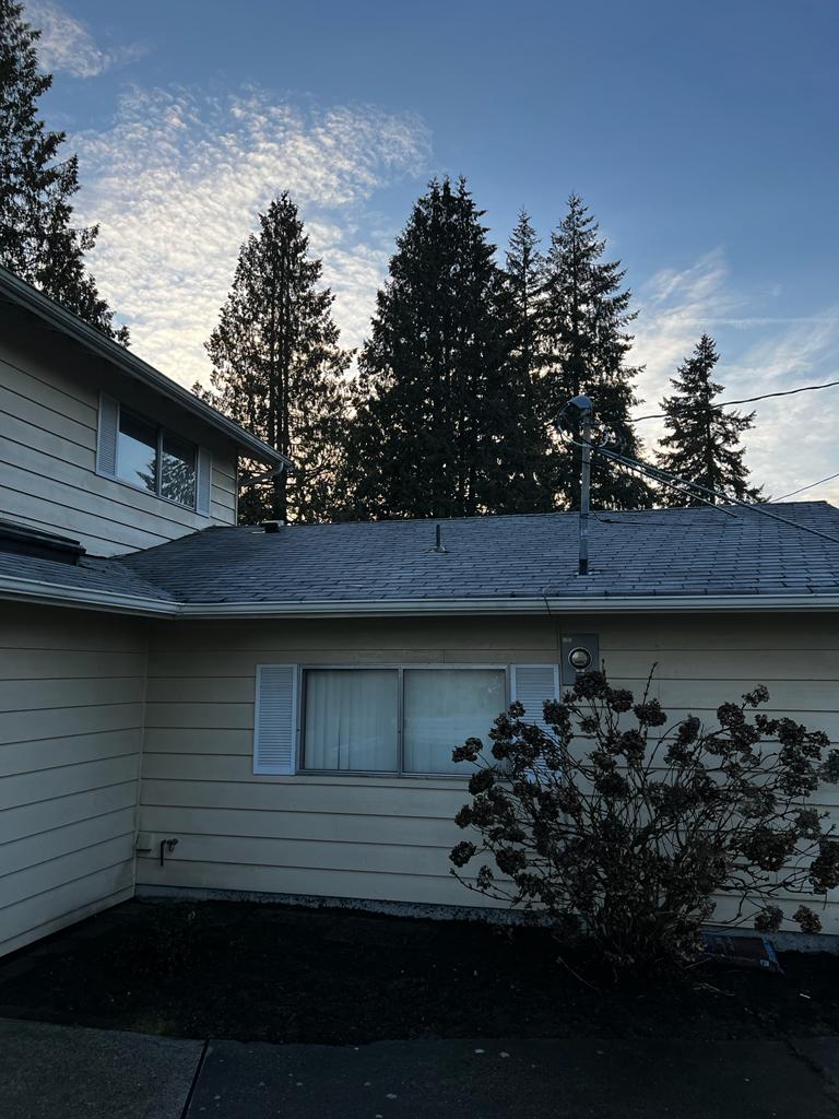 Classic Vision Painting, LLC Image